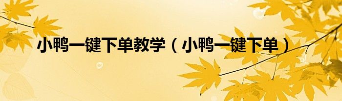 小鸭一键下单(小鸭一键下单教学)