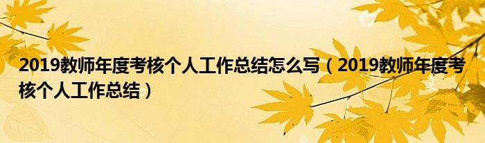 2019教师年度考核个人工作总结(2019教师年度考核个人工作总结怎么写)