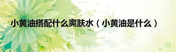 小黄油是什么(小黄油搭配什么爽肤水)