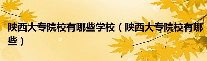 陕西大专院校有哪些(陕西大专院校有哪些学校)