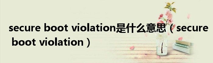 secure boot violation(secure boot violation是什么意思)