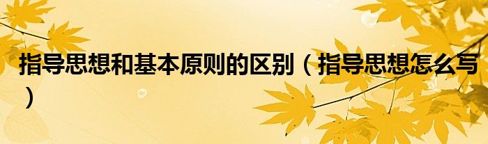 指导思想怎么写(指导思想和基本原则的区别)