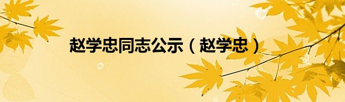 赵学忠(赵学忠同志公示)