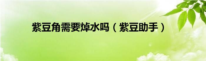 紫豆助手(紫豆角需要焯水吗)