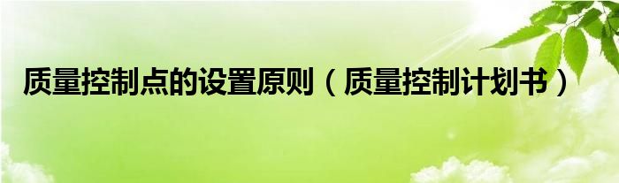 质量控制计划书(质量控制点的设置原则)