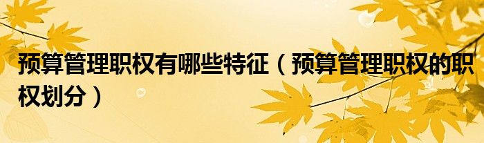 预算管理职权的职权划分(预算管理职权有哪些特征)