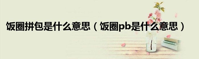 饭圈pb是什么意思(饭圈拼包是什么意思)