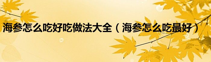 海参怎么吃最好(海参怎么吃好吃做法大全)