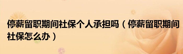 停薪留职期间社保怎么办(停薪留职期间社保个人承担吗)