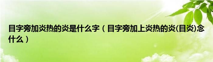 目字旁加上炎热的炎(目炎)念什么(目字旁加炎热的炎是什么字)