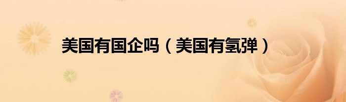 美国有氢弹(美国有国企吗)