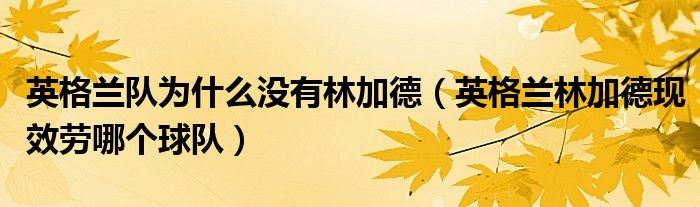 英格兰林加德现效劳哪个球队(英格兰队为什么没有林加德)