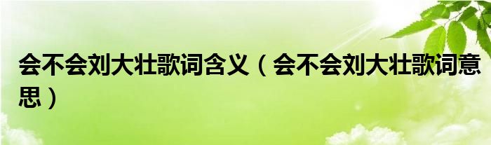 会不会刘大壮歌词意思(会不会刘大壮歌词含义)