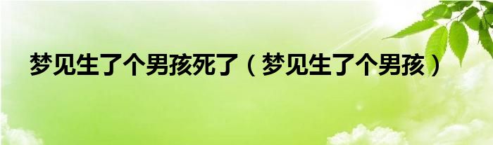 梦见生了个男孩(梦见生了个男孩死了)