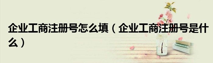 企业工商注册号是什么(企业工商注册号怎么填)