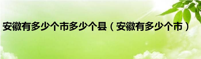 安徽有多少个市(安徽有多少个市多少个县)
