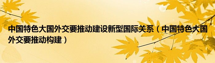 中国特色大国外交要推动构建(中国特色大国外交要推动建设新型国际关系)