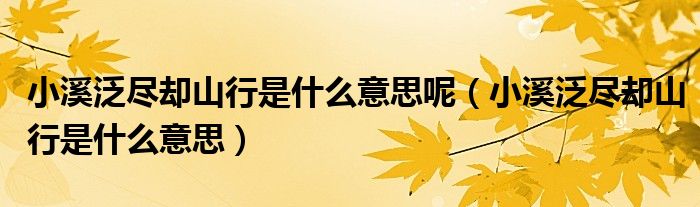 小溪泛尽却山行是什么意思(小溪泛尽却山行是什么意思呢)