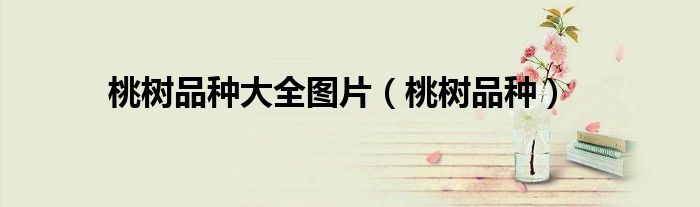 桃树品种(桃树品种大全图片)