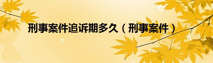 刑事案件(刑事案件追诉期多久)