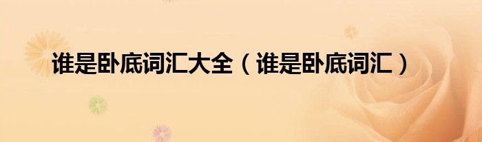 谁是卧底词汇(谁是卧底词汇大全)