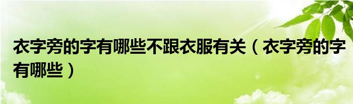 衣字旁的字有哪些(衣字旁的字有哪些不跟衣服有关)