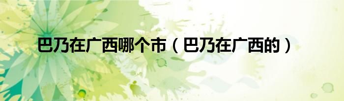 巴乃在广西的(巴乃在广西哪个市)