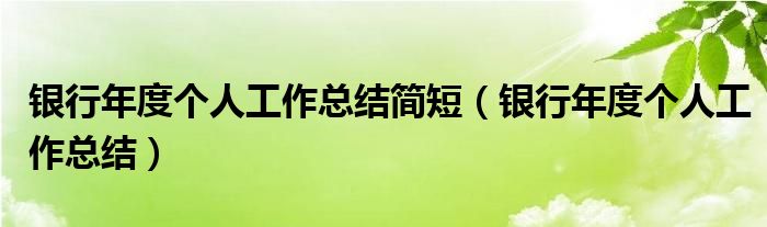 银行年度个人工作总结(银行年度个人工作总结简短)