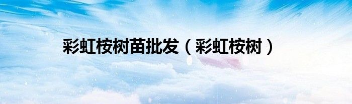 彩虹桉树(彩虹桉树苗批发)
