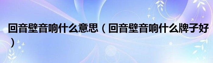 回音壁音响什么牌子好(回音壁音响什么意思)