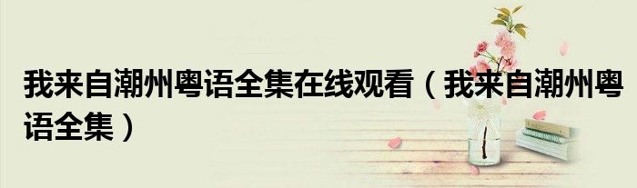我来自潮州粤语全集(我来自潮州粤语全集在线观看)