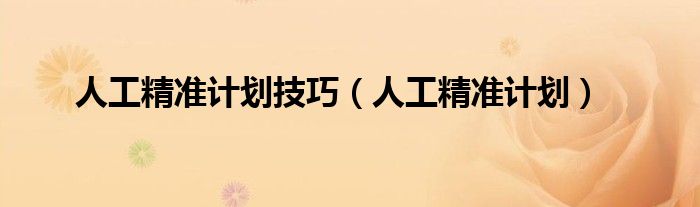人工精准计划(人工精准计划技巧)