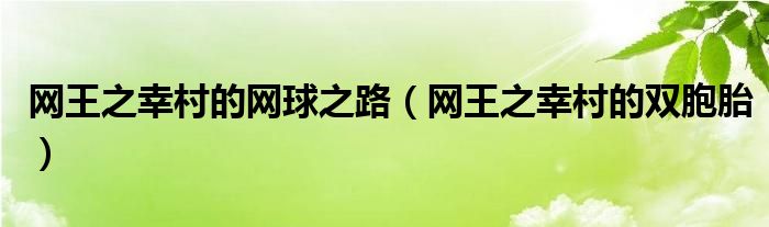 网王之幸村的双胞胎(网王之幸村的网球之路)