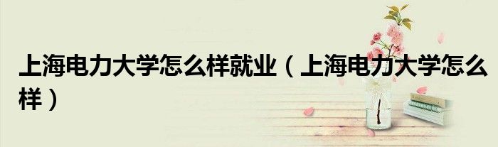 上海电力大学怎么样(上海电力大学怎么样就业)