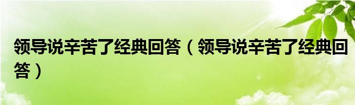 领导说辛苦了经典回答(领导说辛苦了经典回答)