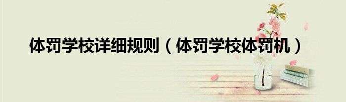 体罚学校体罚机(体罚学校详细规则)