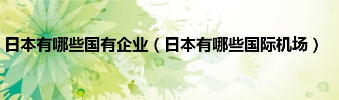 日本有哪些国际机场(日本有哪些国有企业)