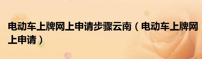 电动车上牌网上申请(电动车上牌网上申请步骤云南)