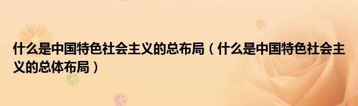 什么是中国特色社会主义的总体布局(什么是中国特色社会主义的总布局)