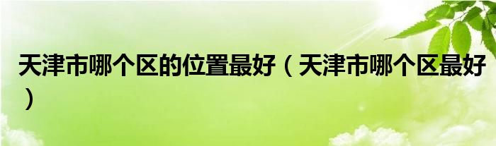 天津市哪个区最好(天津市哪个区的位置最好)