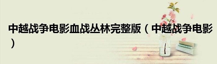 中越战争电影(中越战争电影血战丛林完整版)