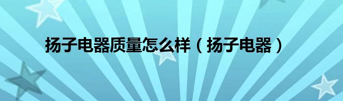 扬子电器(扬子电器质量怎么样)