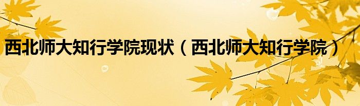 西北师大知行学院(西北师大知行学院现状)