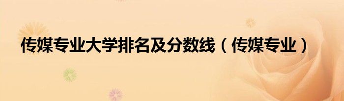 传媒专业(传媒专业大学排名及分数线)