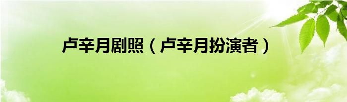 卢辛月扮演者(卢辛月剧照)