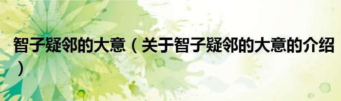 关于智子疑邻的大意的介绍(智子疑邻的大意)