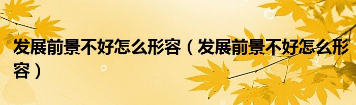 发展前景不好怎么形容(发展前景不好怎么形容)