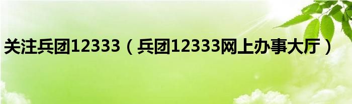 兵团12333网上办事大厅(关注兵团12333)