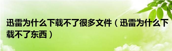 迅雷为什么下载不了东西(迅雷为什么下载不了很多文件)