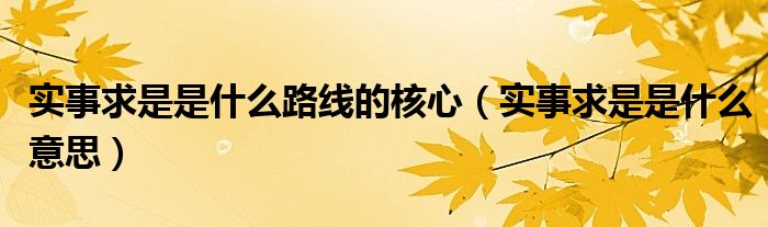 实事求是是什么意思(实事求是是什么路线的核心)